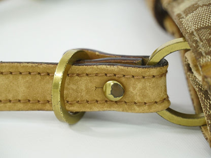 GUCCI GGキャンバス ショルダーバッグ ベージュ 110292