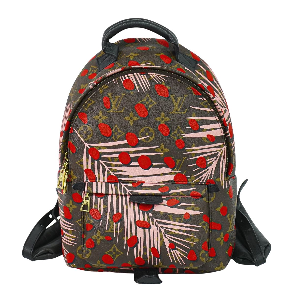 LOUIS VUITTON パームスプリングス PM ジャングルドット モノグラム リュックサック M41981