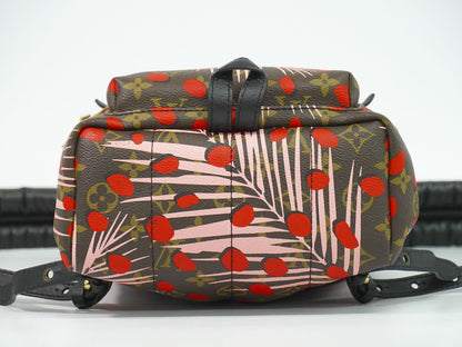 LOUIS VUITTON パームスプリングス PM ジャングルドット モノグラム リュックサック M41981
